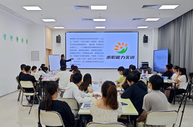就业能力提升